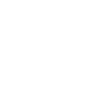 OUR BUSINESS